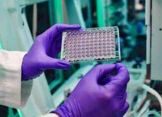 Innovative Cardiovascular Disease Solutions by Bristol Myers Squibb news-17112024-012325