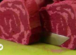 The Future of Cooking: AI Recipes and Robotic Chefs news-18112024-040149