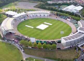 Cricket Stars Departing Vipers after Successful Trophy Run news-18112024-045737