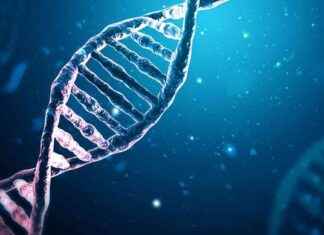 What Happens to 23andMe’s DNA Database if the Company Fails? news-19112024-123405