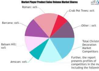 Global Christmas Decoration Market Overview: Home Depot, Walmart, Amazon, Wayfair Lead the Industry news-21112024-013417
