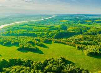 Supporting Sustainability: L’Oréal Fund for Supplier Transition news-21112024-061102