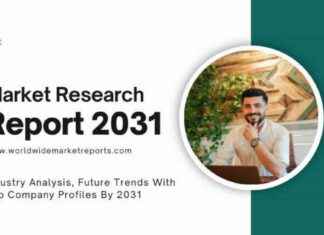 Coffee Grounds Circular Solutions Market Analysis: Key Segments, Trends, and Forecast 2024-2031 | Bio-bean, Cawleys, EcoBean news-21112024-081541