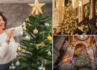 The Science Behind Putting Up Christmas Trees: What It Reveals About You news-21112024-151601