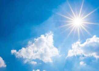 Cheese Industry Outlook: Optimistic and Bright Future ahead news-22112024-144817