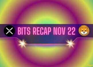 Ripple (XRP) Price Surge Sends Warning to Shiba Inu (SHIB) Users: Bits Recap Nov 22 news-22112024-230239