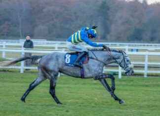 Kandoo Kid Leads Paul Nicholls Squad at Newbury with Caldwell Potter Debut news-26112024-055536