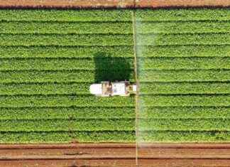 Hygenco and Topsoe Partner for Green Ammonia Project in Chemical Industry news-26112024-195047