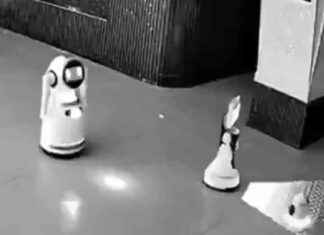 Robotic Uprising: A Robot Persuades Others to Revolt news-28112024-103513