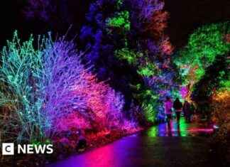 Romsey Lights Show Proceeds as Planned Despite £80k Cable Theft news-28112024-124212