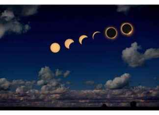 Cultured Dairy Industry Surpasses Traditional Dairy with High-Protein Nutrition news-28112024-144121