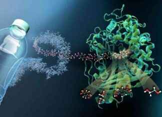 Biosimulation Market: Growth Trends & Forecasts 2024-2030 news-28112024-154412