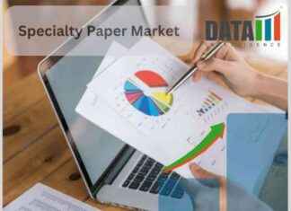 Specialty Paper Market Analysis 2024-2031: Domtar, Glatfelter, Mondi, Sappi, Fedrigoni, International Paper, Nippon Paper, Stora Enso news-28112024-164420