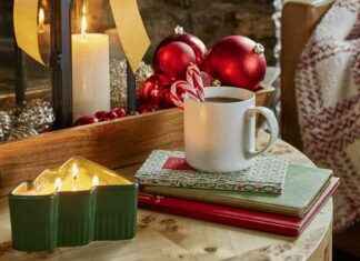 6 Festive Fragrance Picks to Elevate Your Home Decor news-30112024-002330