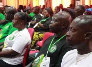 Cocoa Price Increase Reduces Cocoa Smuggling: Kuapa Kokoo MD’s Insight news-30112024-042703