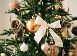 Should You Wash Your Christmas Tree Before Setting It Up? – Expert Advice and Tips news-30112024-204954