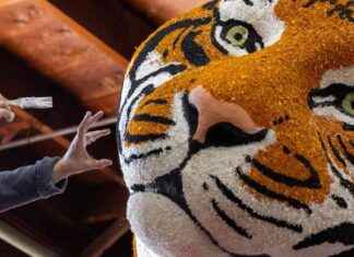 2025 Rose Parade Float Decoration Photos: Shift Into High Gear 2025-rose-parade-float-decoration-photos-shift-nto-high-gear