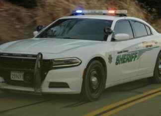 29-year-old Theft Suspect Pretends to be 12 to Fool Police 29-year-old-theft-suspect-pretends-to-be-12-to-fool-police