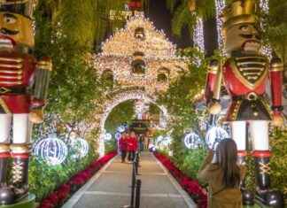 Beware of Parking Scam at Riverside Festival of Lights: Tips for Visitors beware-of-parking-scam-at-riverside-festival-of-lights-tips-for-visitors