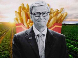 bill-gates-600-million-real-estate-empire-farmland-supplying-mcdonalds-fries