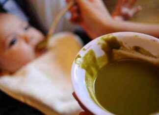 California Baby Food Labels to Disclose Lead and Mercury Levels: What You Need to Know california-baby-food-labels-to-disclose-lead-and-mercury-levels-what-you-need-to-know