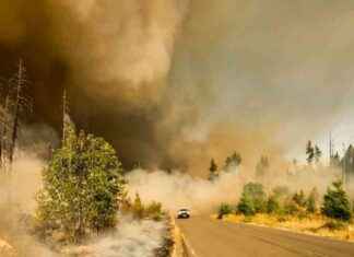 Ensuring Equitable Distribution of Wildfire Rescue Resources in California ensuring-equitable-distribution-of-wildfire-rescue-resources-in-california