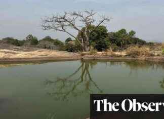 Exploring Nigeria’s Tourism: Beaches, Beer, and the Suspended Lake exploring-nigerias-tourism-beaches-beer-and-the-suspended-lake