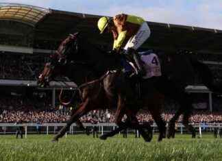 Galopin Des Champs: HRI’s 2024 Horse of the Year galopin-des-champs-hrs-2024-horse-of-the-year