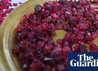 London-Listed Miner Suspends Mozambique Operations Amid Political Unrest london-listed-miner-suspends-mozambique-operations-amid-political-unrest