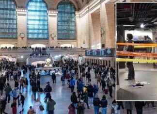 Man Arrested in Connection to NYC Stabbing at Grand Central on Christmas Eve man-arrested-in-connection-to-nyc-stabbing-at-grand-central-on-christmas-eve