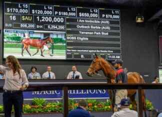 Highly Valued I Am Invincible Filly Wins Debut Race – Full Brother MM 2025 news-01122024-073730