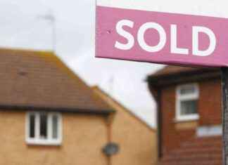 Best Surrey Towns for Single Homebuyers: Where Being Single Affects Your Housing Market Prospects news-01122024-114228
