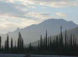 Countdown to 2050: 9,164 Days Left news-02122024-222343