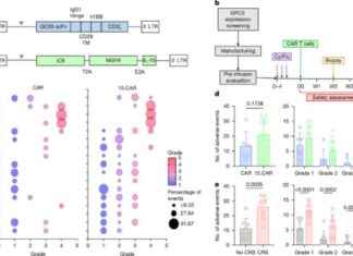 Enhanced GPC3 CAR T Cell Therapy for Solid Cancer Patients news-03122024-103719