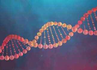 Oligonucleotide Synthesis Market Analysis: Forecast, Trends & Growth Opportunities by 2030 news-03122024-144136