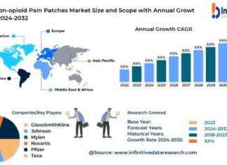 Non-Opioid Pain Patch Market Trends and Forecast to 2033 non-opioid-pain-patch-market-trends-and-forecast-to-2033