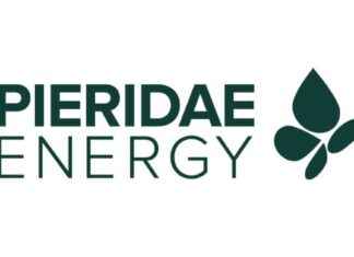 Pieridae 2025 Guidance and Capital Program Overview pieridae-2025-guidance-and-capital-program-overview