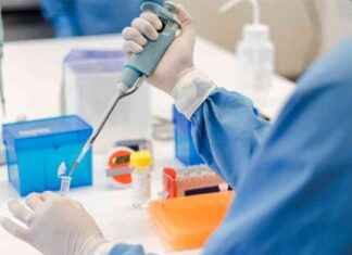 Top 5 Alzheimer’s Discoveries in 2024: Breakthroughs and Progress top-5-alzheimers-discoveries-in-2024-breakthroughs-and-progress