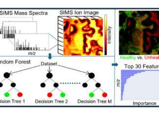 Advancements in Tof-Sims Imaging For Life Sciences Advancements in Tof-Sims Imaging For Life Sciences