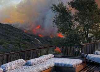 Battling to Save Home: First Reporter of Palisades Fire Still Fighting battling-to-save-home-first-reporter-of-palisades-fire-still-fighting