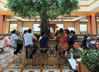 Best Indian Food to Try at Jersey’s New Hindu Temple with Stunning Views best-ndian-food-to-try-at-jerseys-new-hindu-temple-with-stunning-views