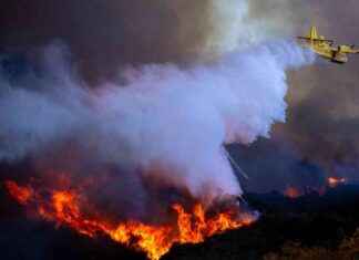 Blame Game: Man Posts Palisades Fire Videos, Internet Points Finger blame-game-man-posts-palisades-fire-videos-nternet-points-finger