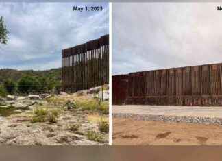 Border Wall Construction Threatens Rare Desert Fish – Conservation Group Concerns border-wall-construction-threatens-rare-desert-fish-conservation-group-concerns