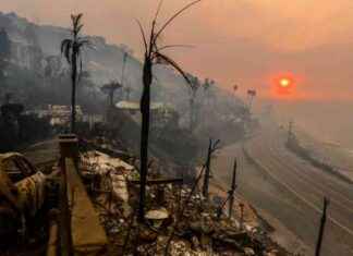 Devastating Los Angeles Fires: Stunning Photos Show Scale of Destruction devastating-los-angeles-fires-stunning-photos-show-scale-of-destruction