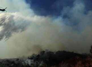 Dramatic Air Attack Saves Brentwood and Encino from Palisades Fire dramatic-air-attack-saves-brentwood-and-encino-from-palisades-fire