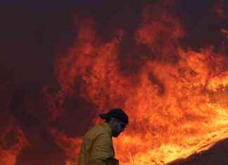 Exploring the Connection Between Wildfires and Los Angeles: A Commentary on Wildness and Attraction exploring-the-connection-between-wildfires-and-los-angeles-a-commentary-on-wildness-and-attraction