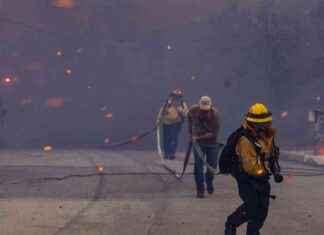 Fire Breaks Out Near Palisades Inferno Site: Brentwood Blaze Update fire-breaks-out-near-palisades-nferno-site-brentwood-blaze-update