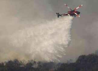 Heroic 104-Year-Old Saves Brentwood Homes from Palisades Fire heroic-104-year-old-saves-brentwood-homes-from-palisades-fire