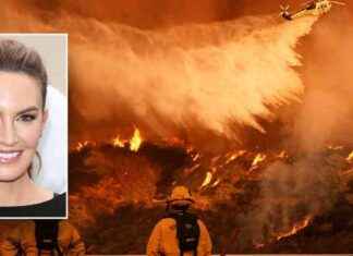 Hollywood Actress Criticizes Elected Officials for Response to LA Fires hollywood-actress-criticizes-elected-officials-for-response-to-la-fires