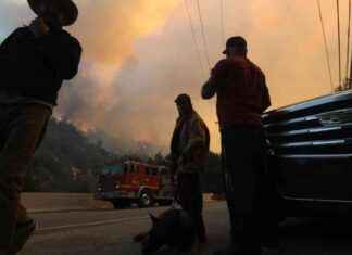 L.A. Wildfire Safety Guide: Tips for Staying Safe, Actions to Take, and Ways to Help la-wildfire-safety-guide-tips-for-staying-safe-actions-to-take-and-ways-to-help